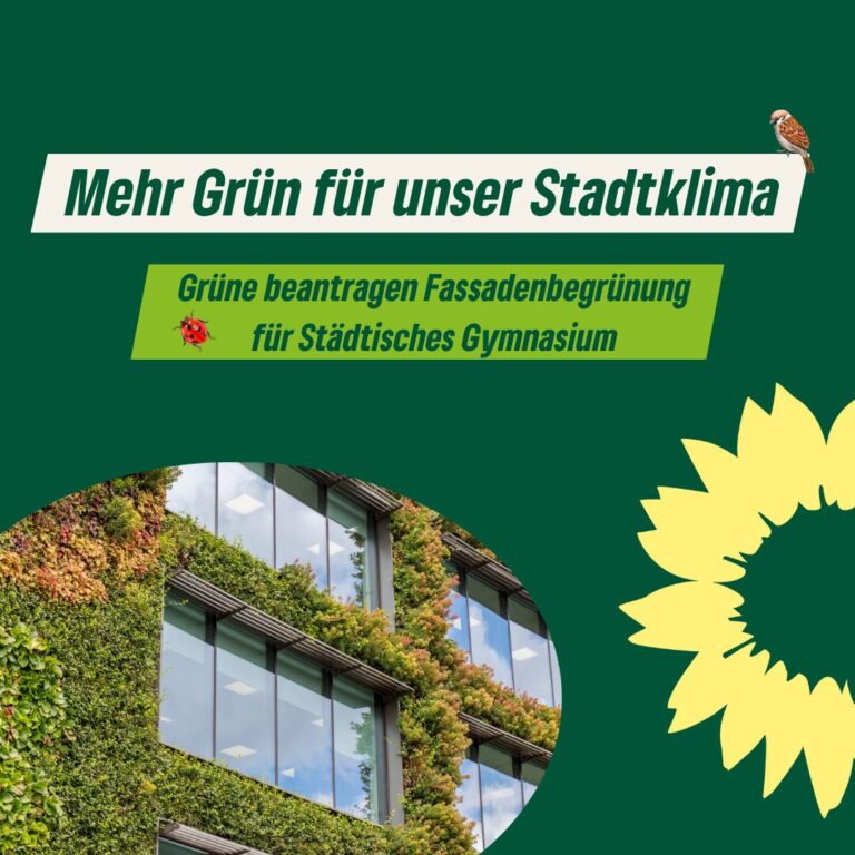 Grüne beantragen Fassadenbegrünung für das Städtische Gymnasium