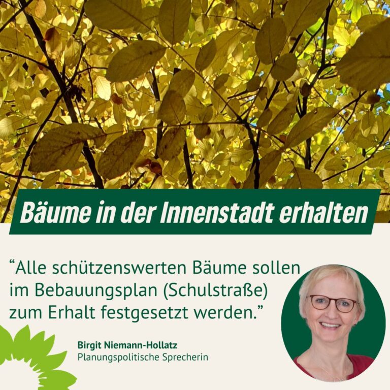Schützenswerte Bäume erhalten!