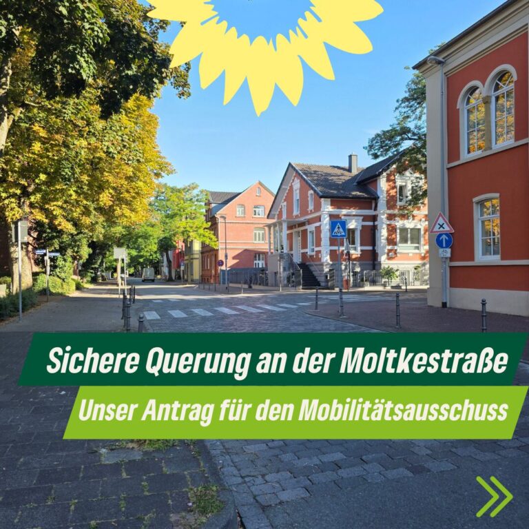 Grüne beantragen sichere Querung an der Moltkestraße