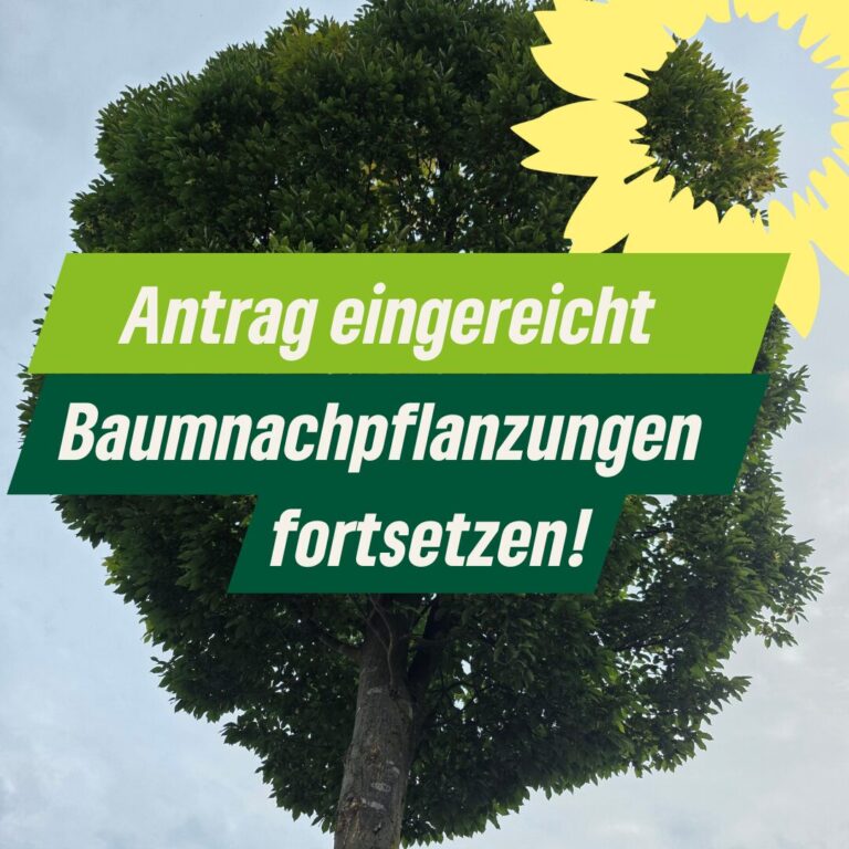 GRÜNE fordern außerplanmäßige Bereitstellung von Mitteln für Baumnachpflanzungen