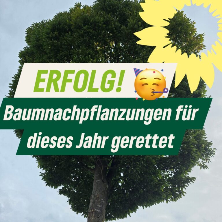 Baumnachpflanzungen